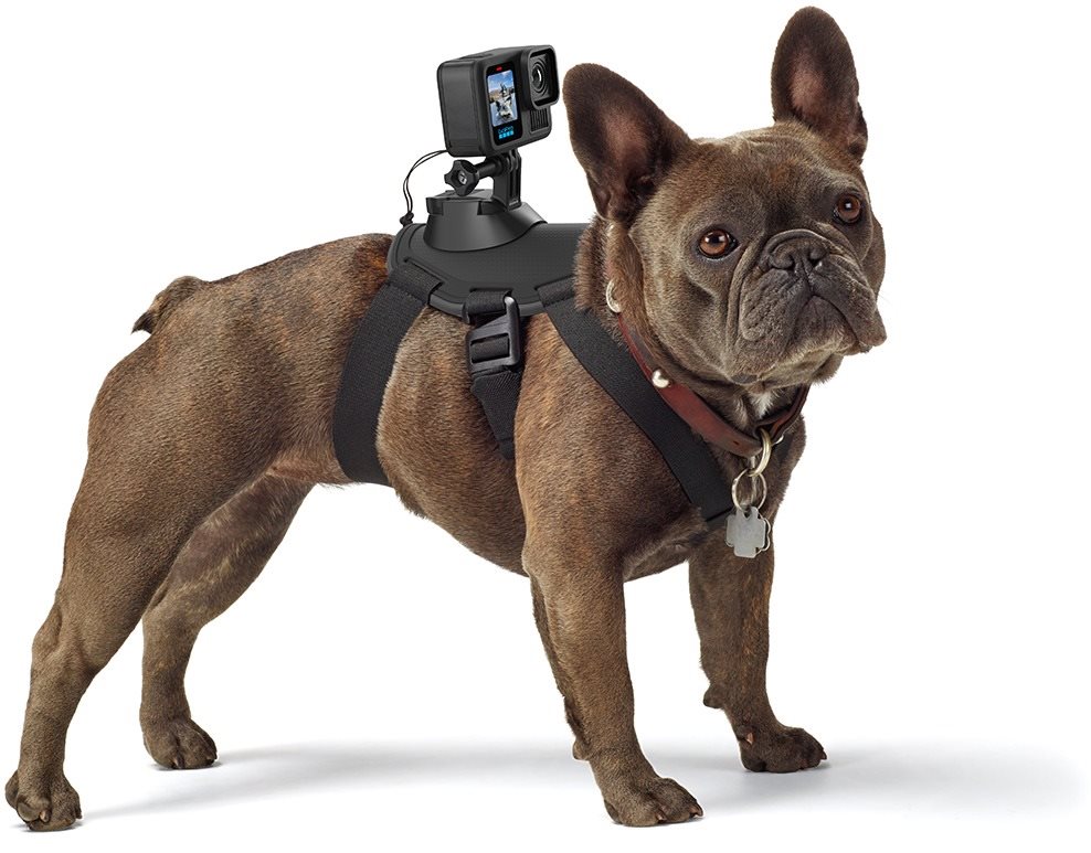 GoPro Hundegeschirr (Fetch) Kamerahalter