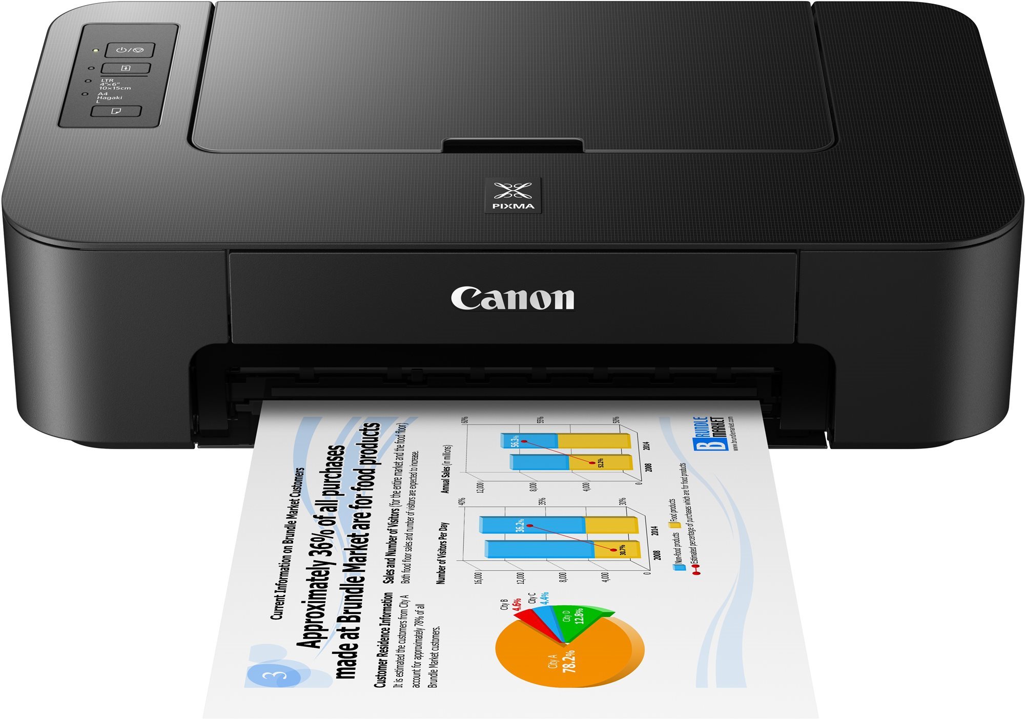 Canon PIXMA TS205 Inkjet Printer