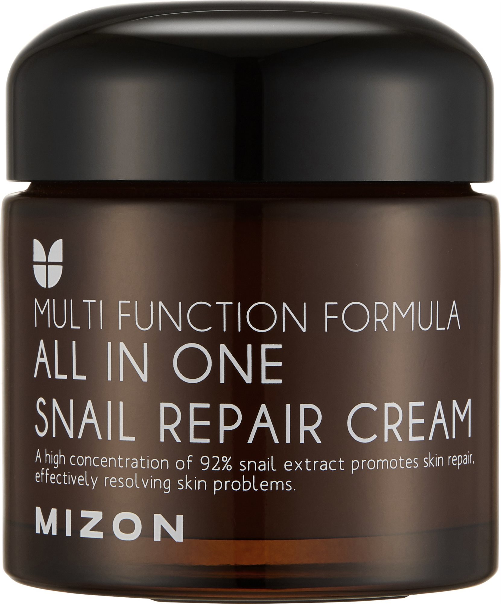 MIZON All In One Snail Repair Cream 75 ml Krém na tvár