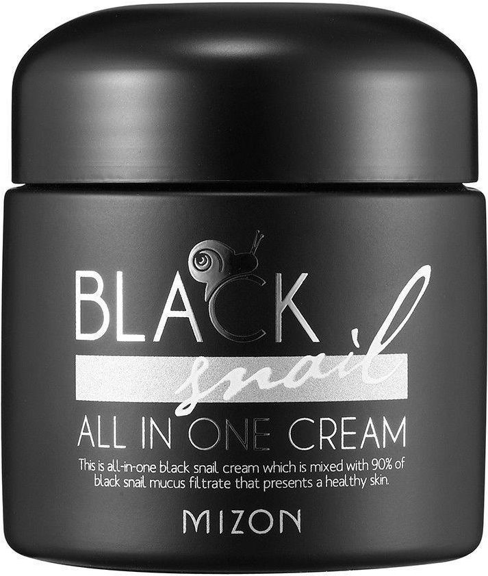 MIZON Black Snail All In One Cream 75 ml Krém na tvár