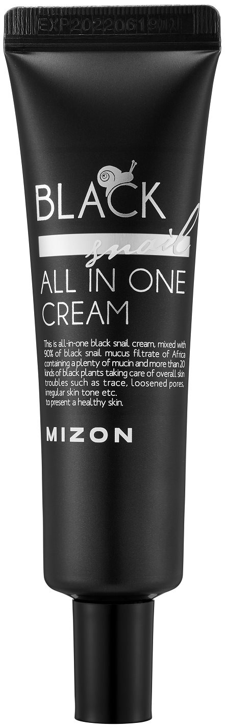 MIZON Black Snail All In One Cream 50 ml Arckrém