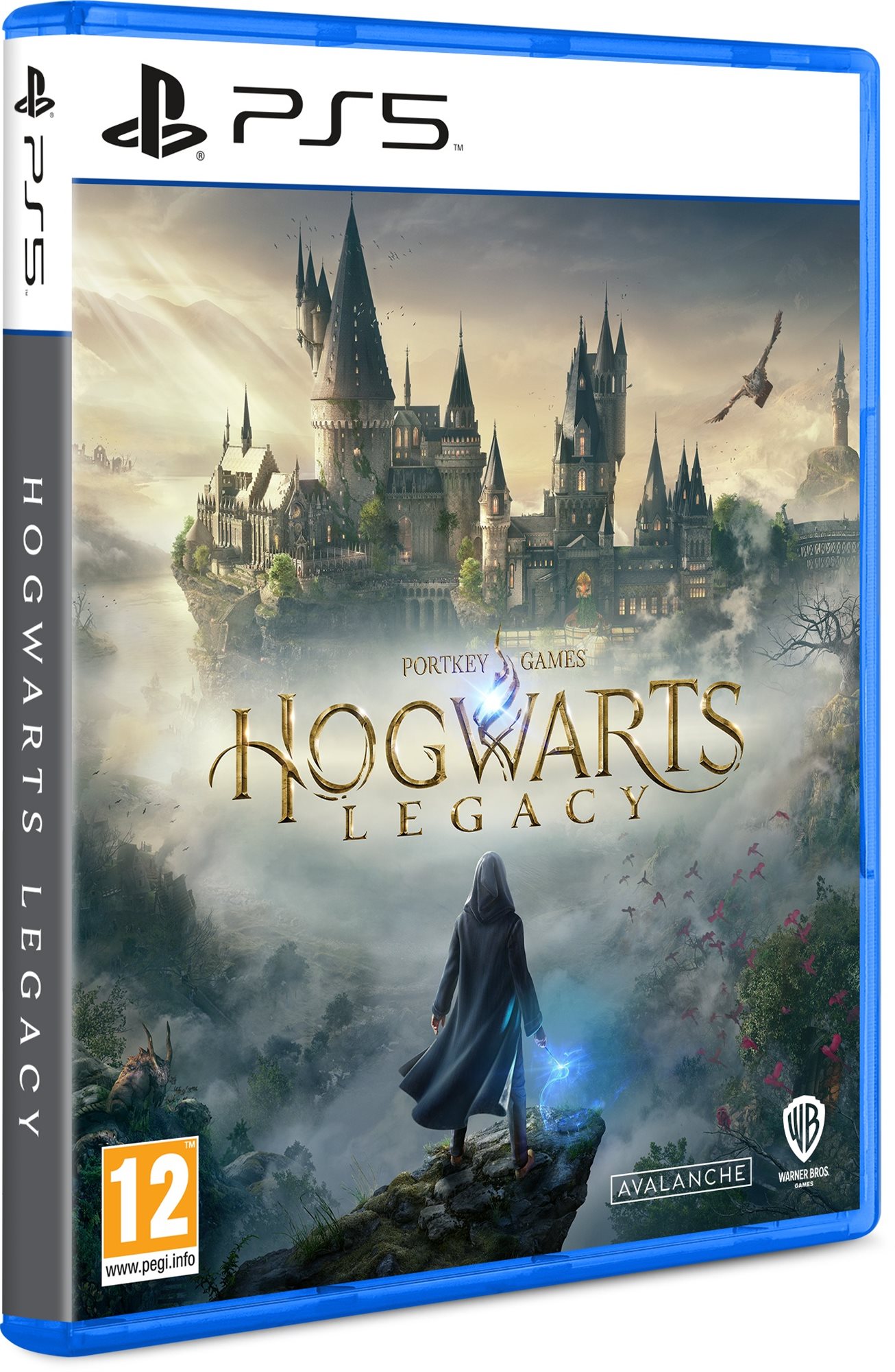 Hogwarts Legacy - PS5 Konsolen-Spiel