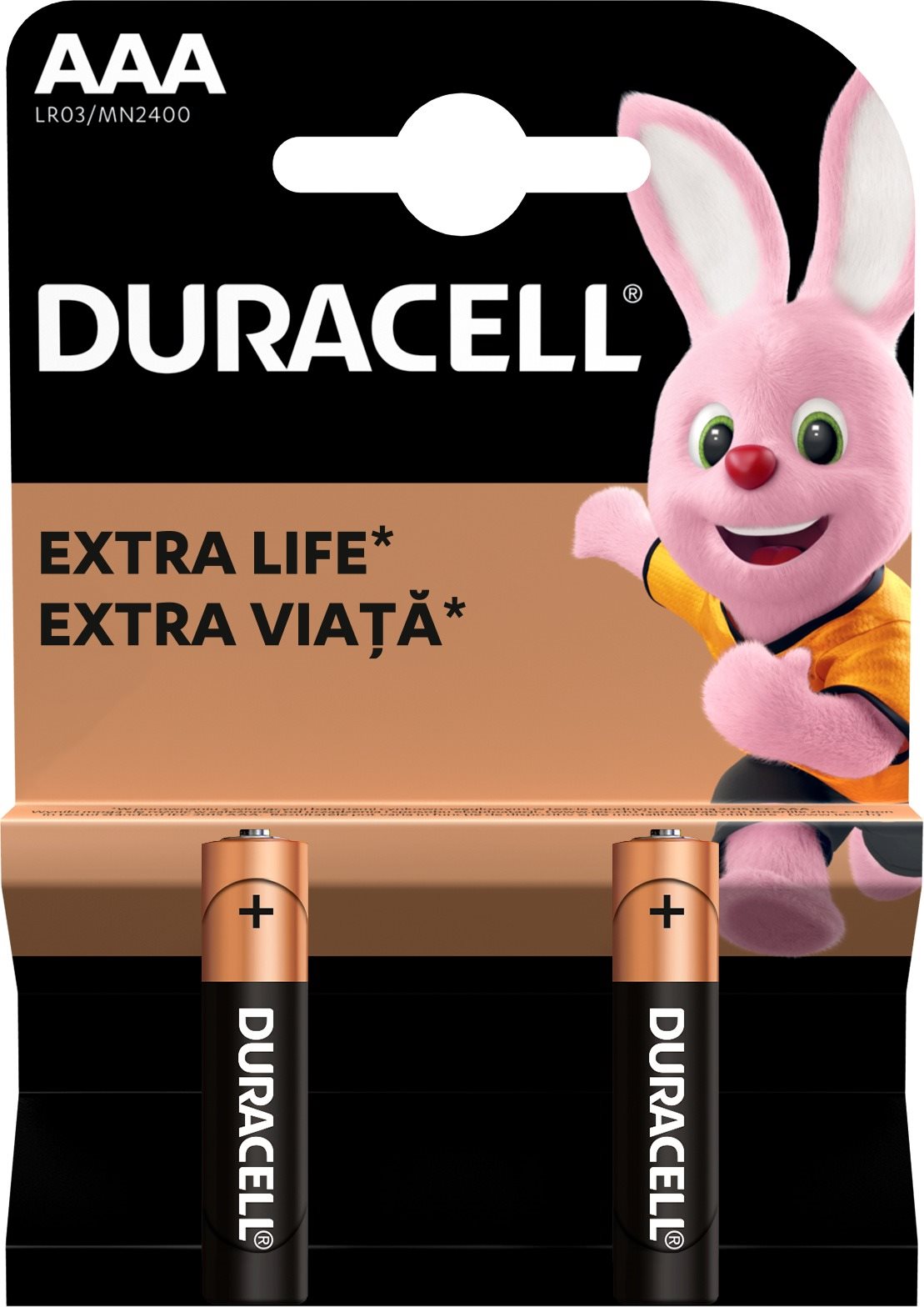 Duracell Basic Alkaline Batterie AAA - 2 Stück Einwegbatterie