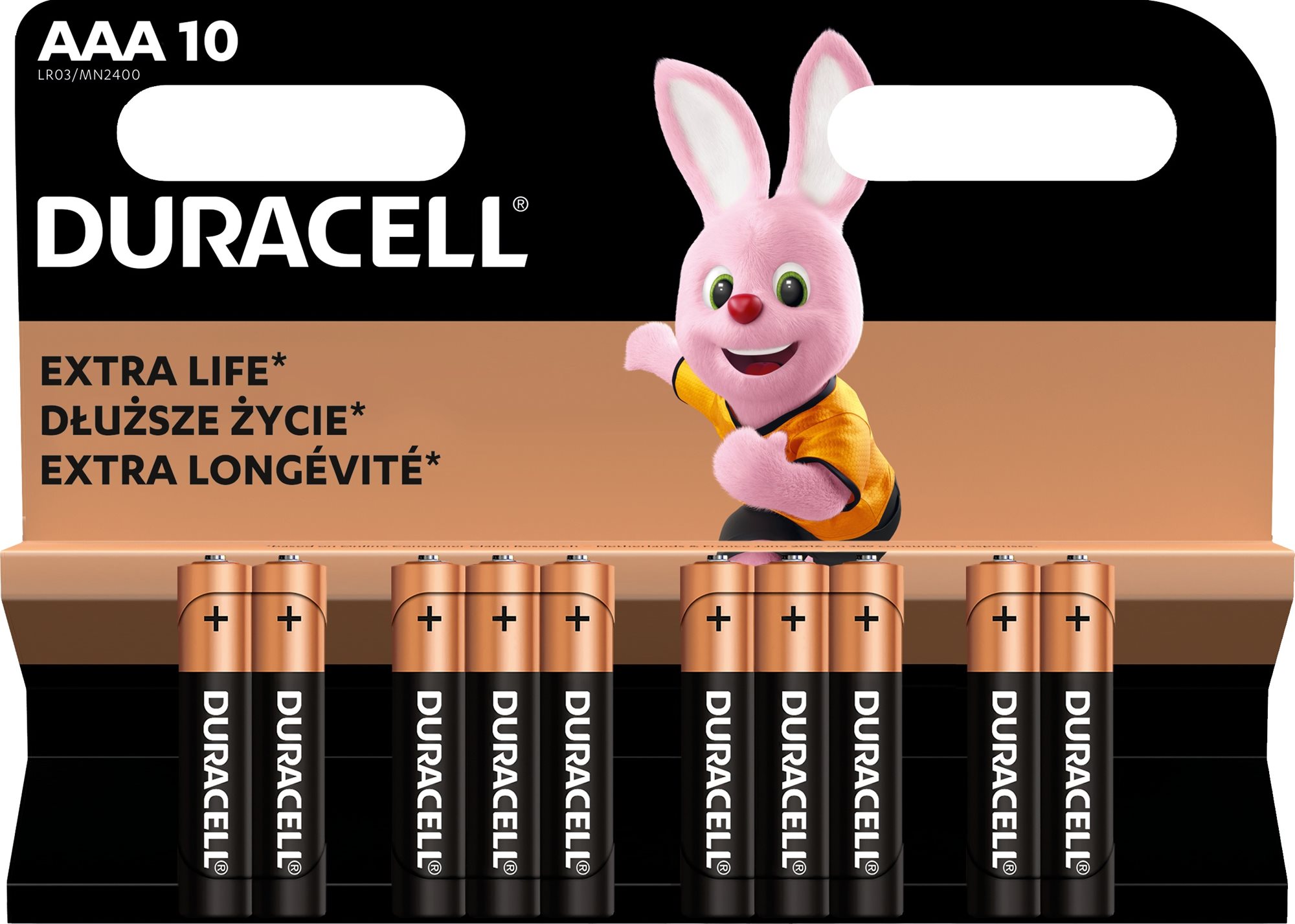 Duracell Basic alkalická batéria 10 ks (AAA) Jednorazová batéria