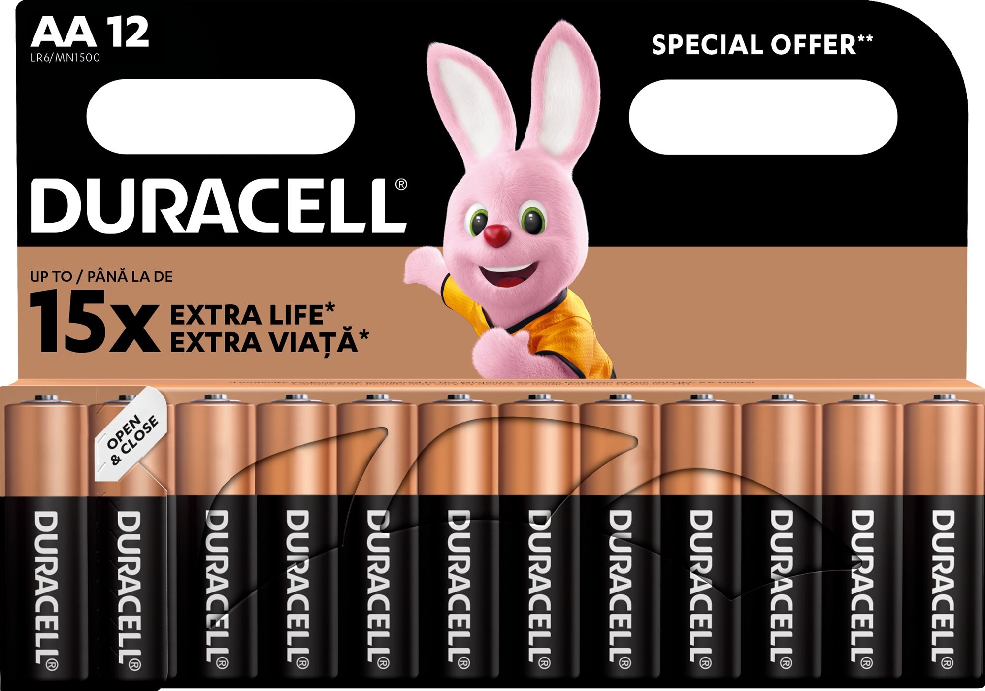 Duracell Basic alkalická batéria 12 ks (AA) Jednorazová batéria
