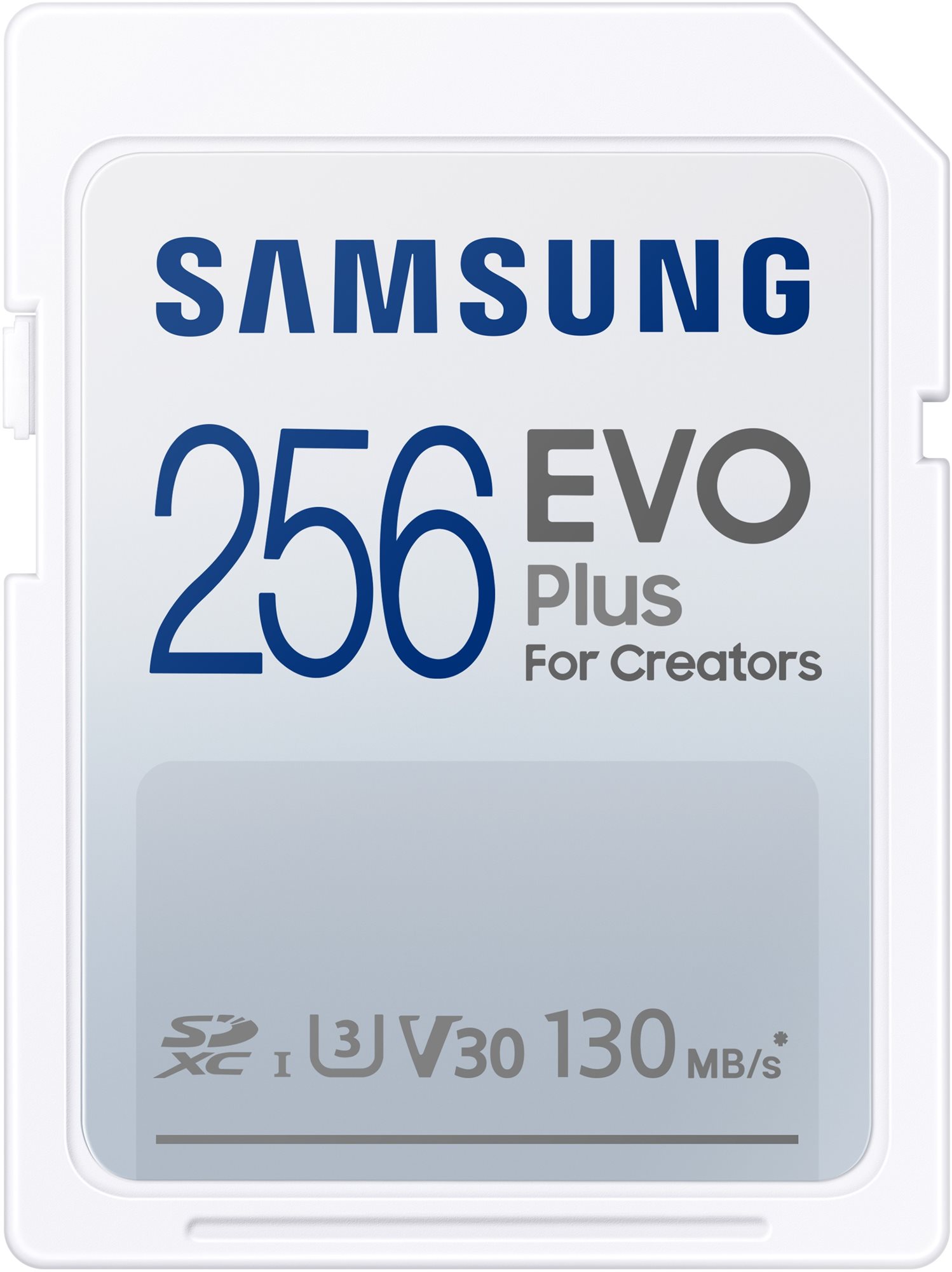 Samsung SDXC 256 GB EVO PLUS Speicherkarte