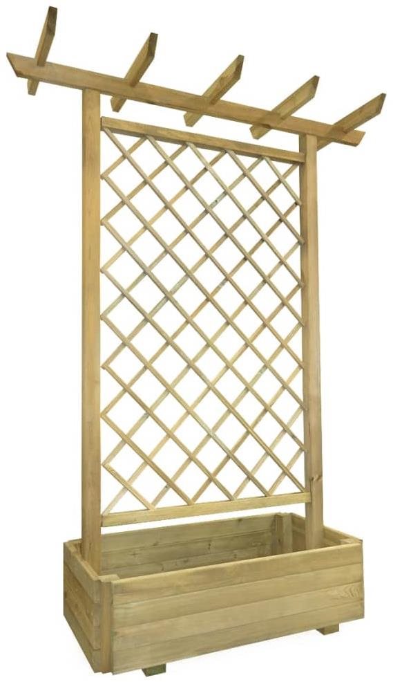 SHUMEE Treláž na rastliny s hrantíkom 162 × 56 × 204 cm Treláž
