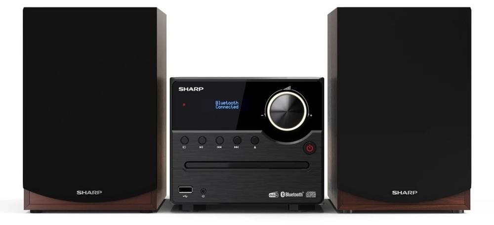 Sharp XL-B517BR DAB Minisystém