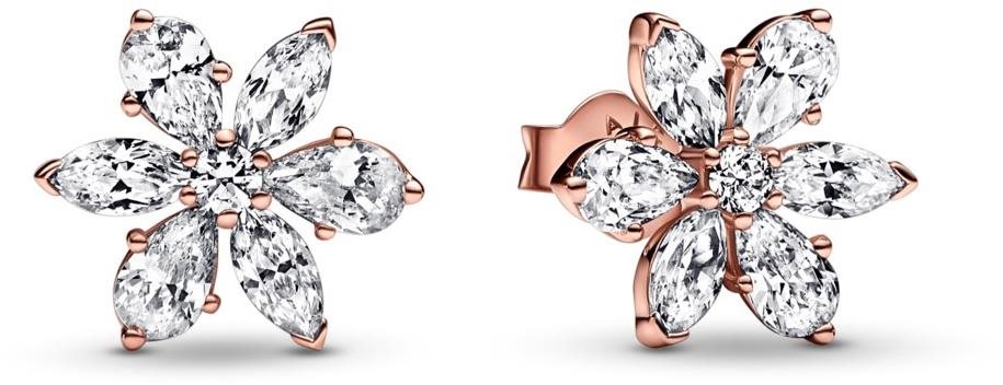 PANDORA Timeless 282407C01 (Všeobecný kov) Náušnice