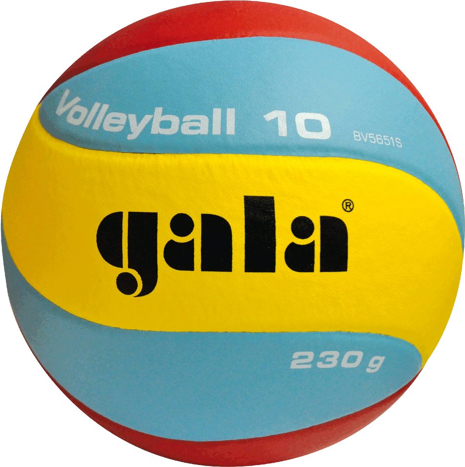 Gala Volleyball 10 BV 5651 S - 230 g Röplabda