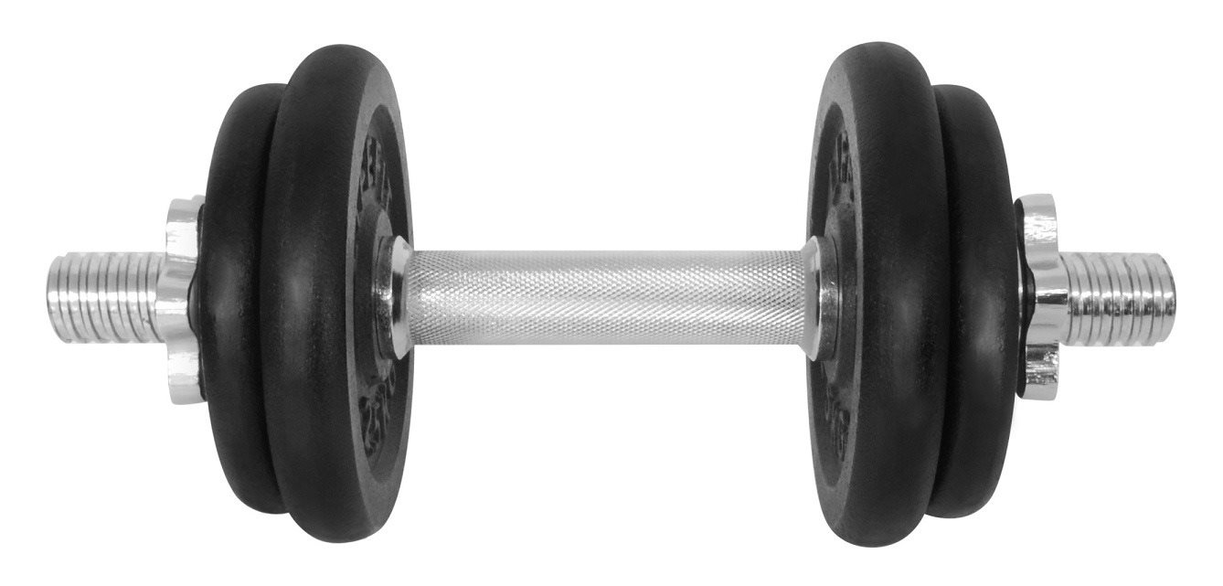 LifeFit Činka 10 kg, 4× kotúč Činka