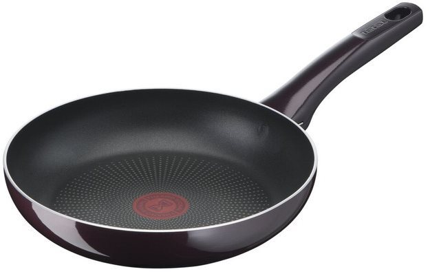Tefal Resist Intense Pan 24cm D5220483 Pan