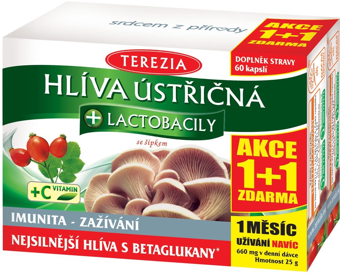 TEREZIA Hliva + lactobacily 60 + 60 kapsúl Hliva ustricová