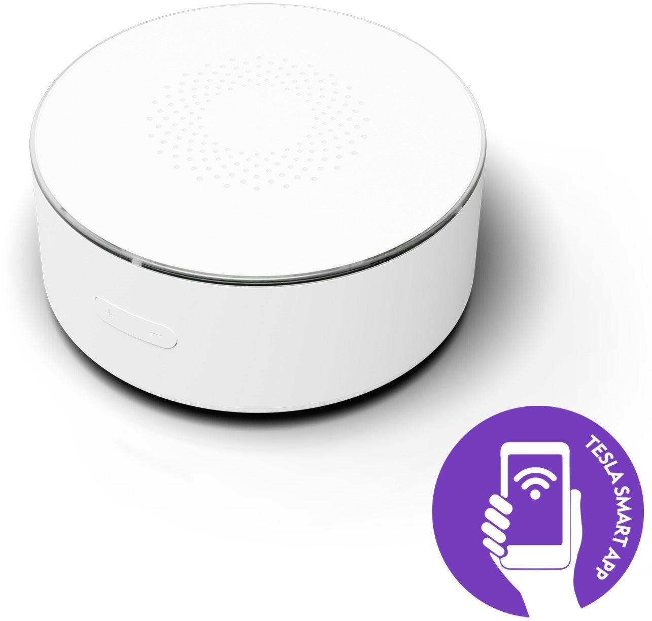 Tesla Smart Sensor Siren Senzor