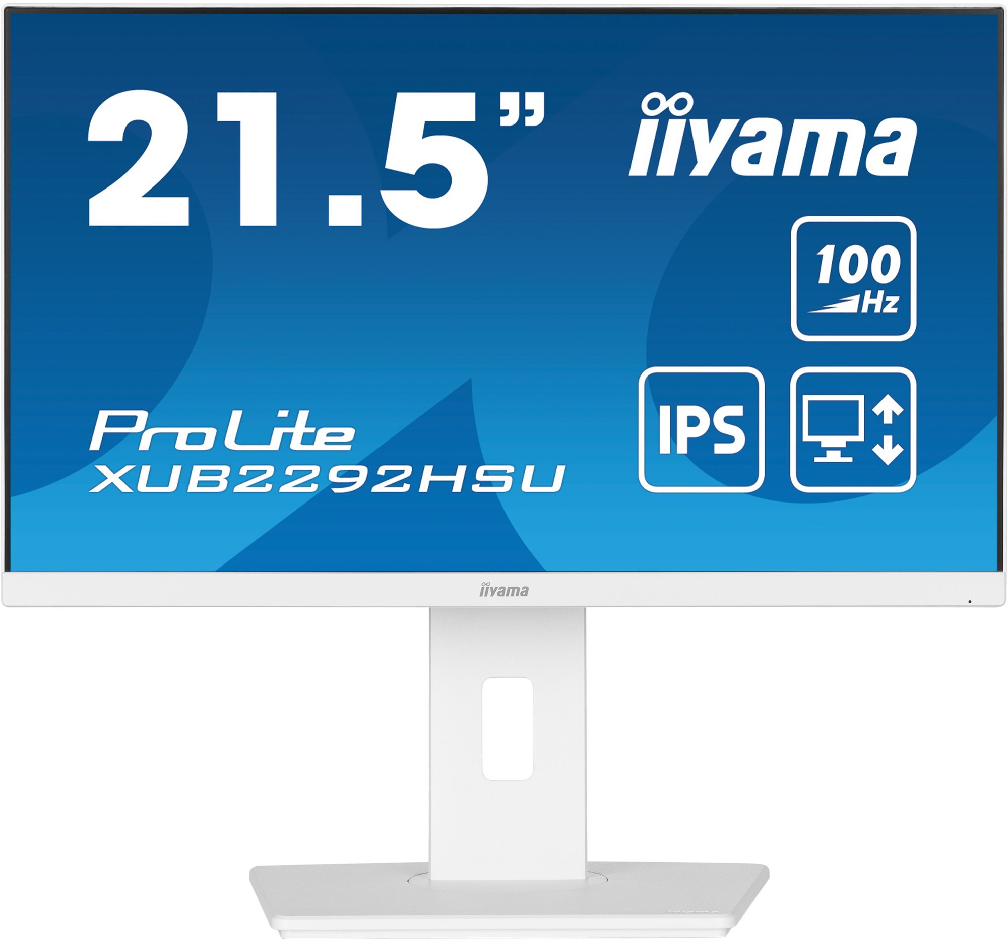 21,5" iiyama ProLite XUB2292HSU-W6 LCD monitor
