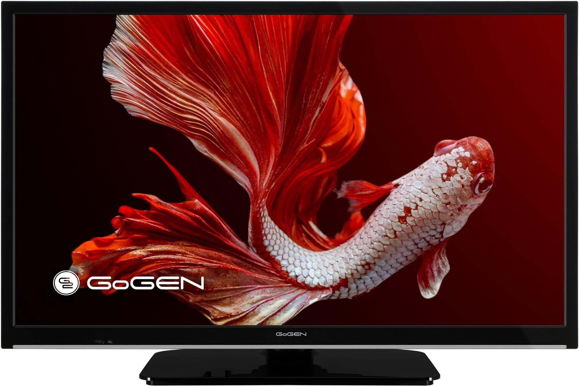 24" Gogen TVH 24P406 STC Televízor