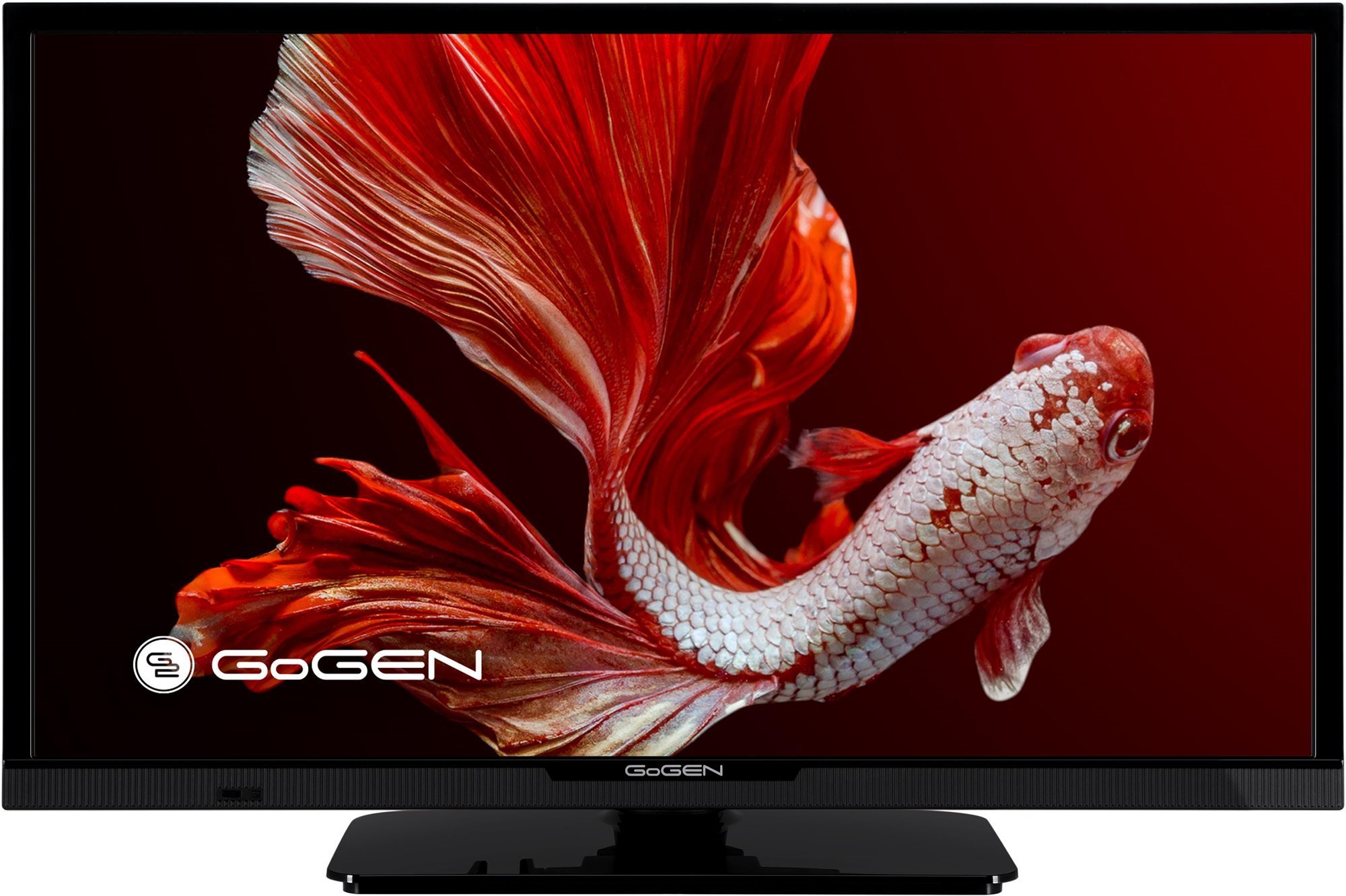 24" Gogen TVH 24P352T Televízió