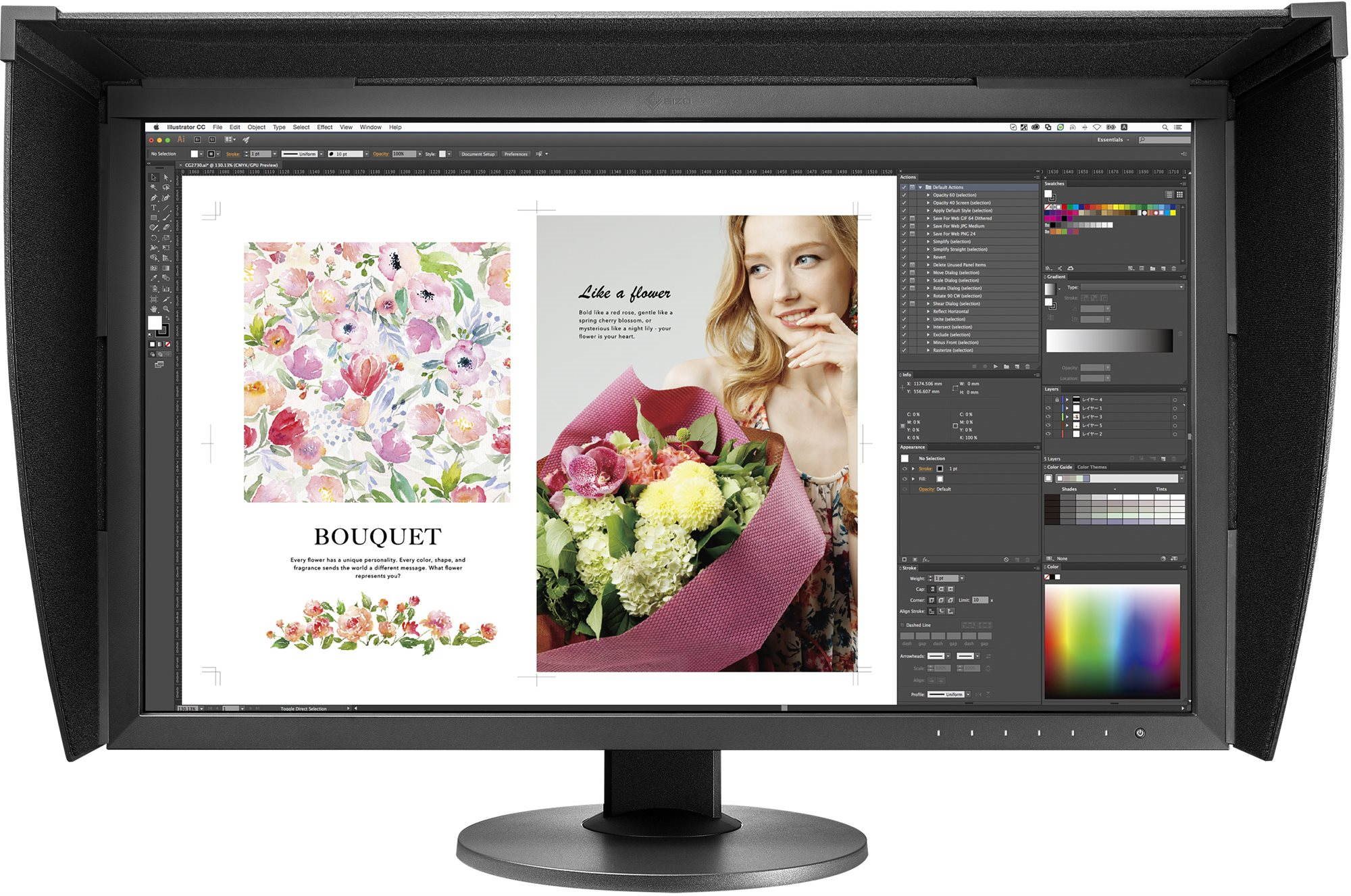 27" EIZO ColourEdge CG2730 LCD Monitor