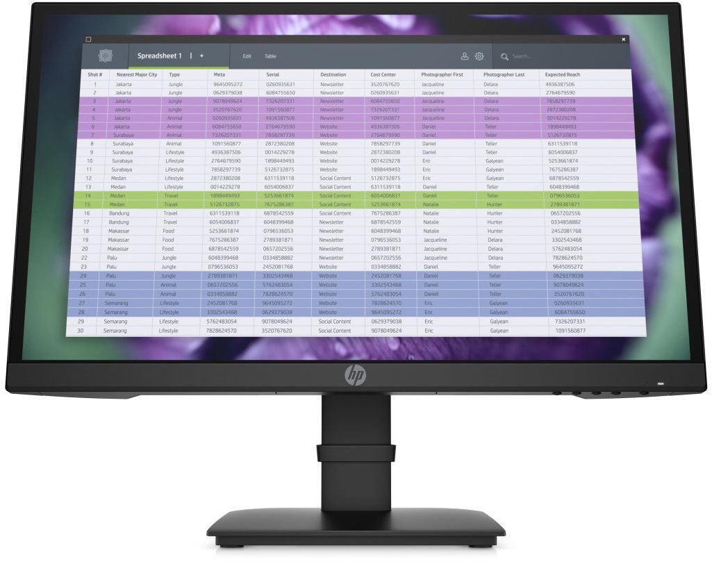 22“ HP P22 G4 LCD Monitor