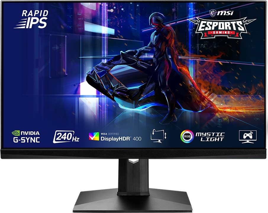 24.5" MSI Optix MAG251RX LCD Monitor