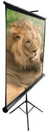 ELITE SCREENS Mobile Leinwand 120" (16:9) Projektionsleinwand