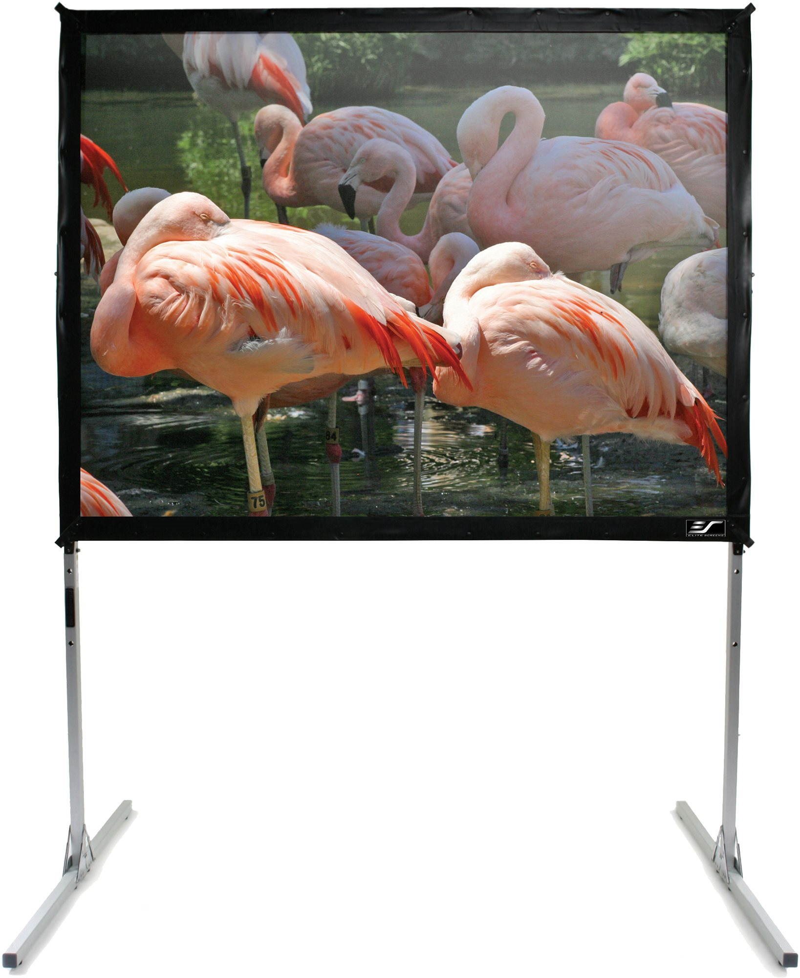 Elite Screens, mobiles Stativ 120 Zoll (16:9) Projektionsleinwand