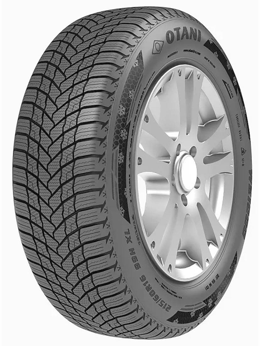 Otani WE1000 195/60 R15 88T