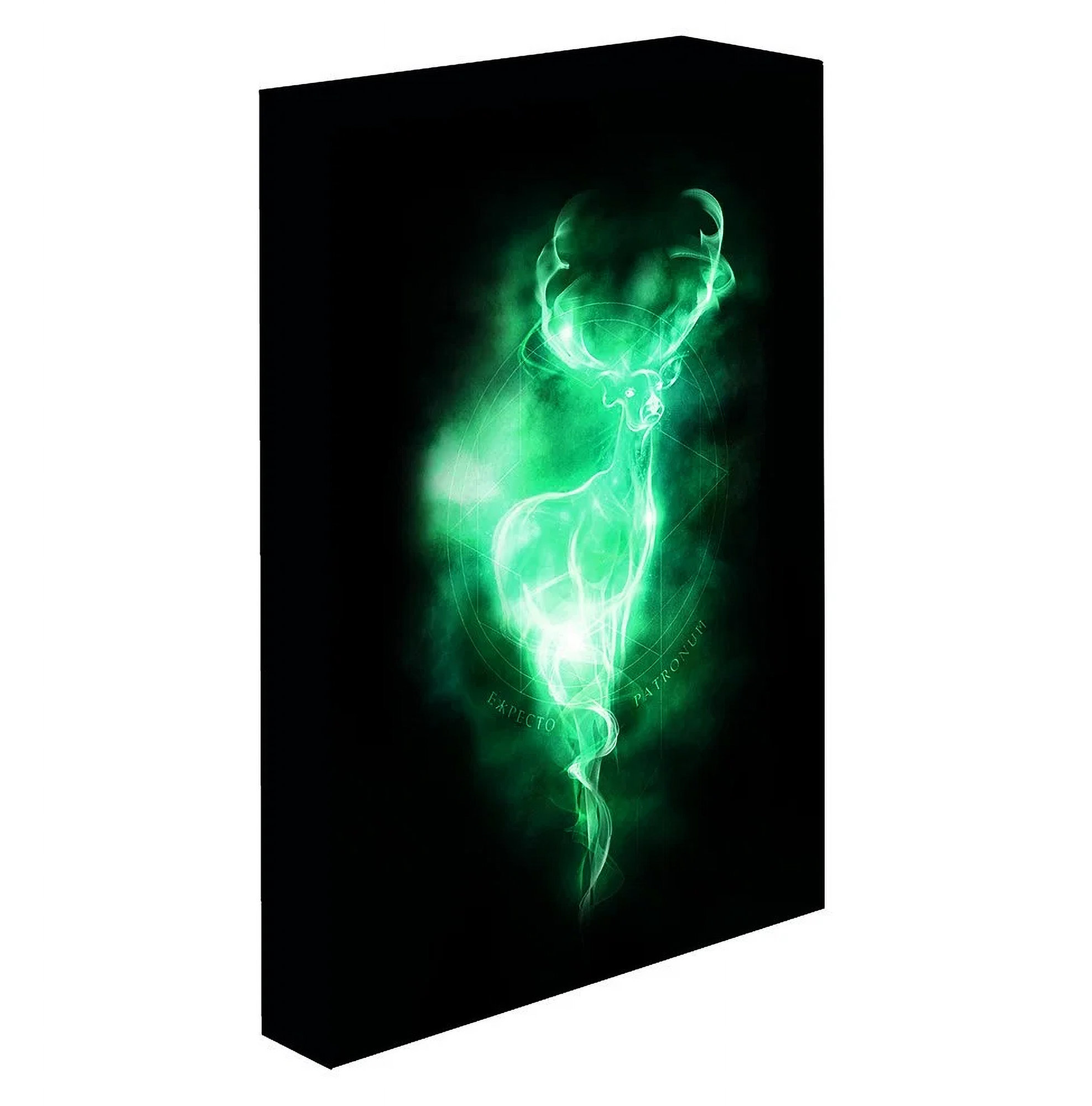 Harry Potter - Patron, 30 × 40 cm - LED svítící obraz