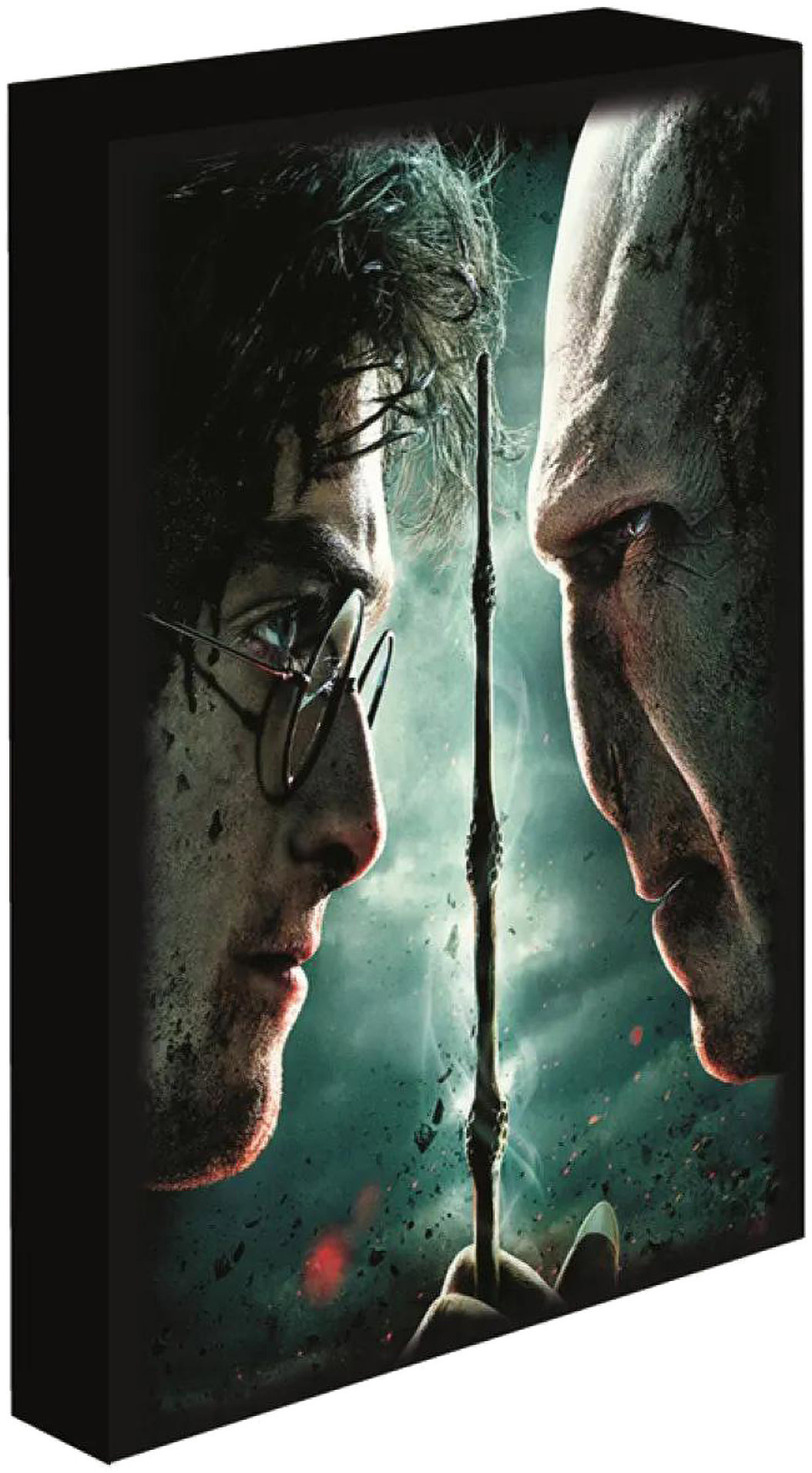 Harry Potter - Harry vs. Voldemort, 30 × 40 cm - LED svítící obraz