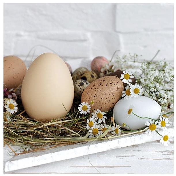 Goba Ubrousky Přírodní vejce 3400083