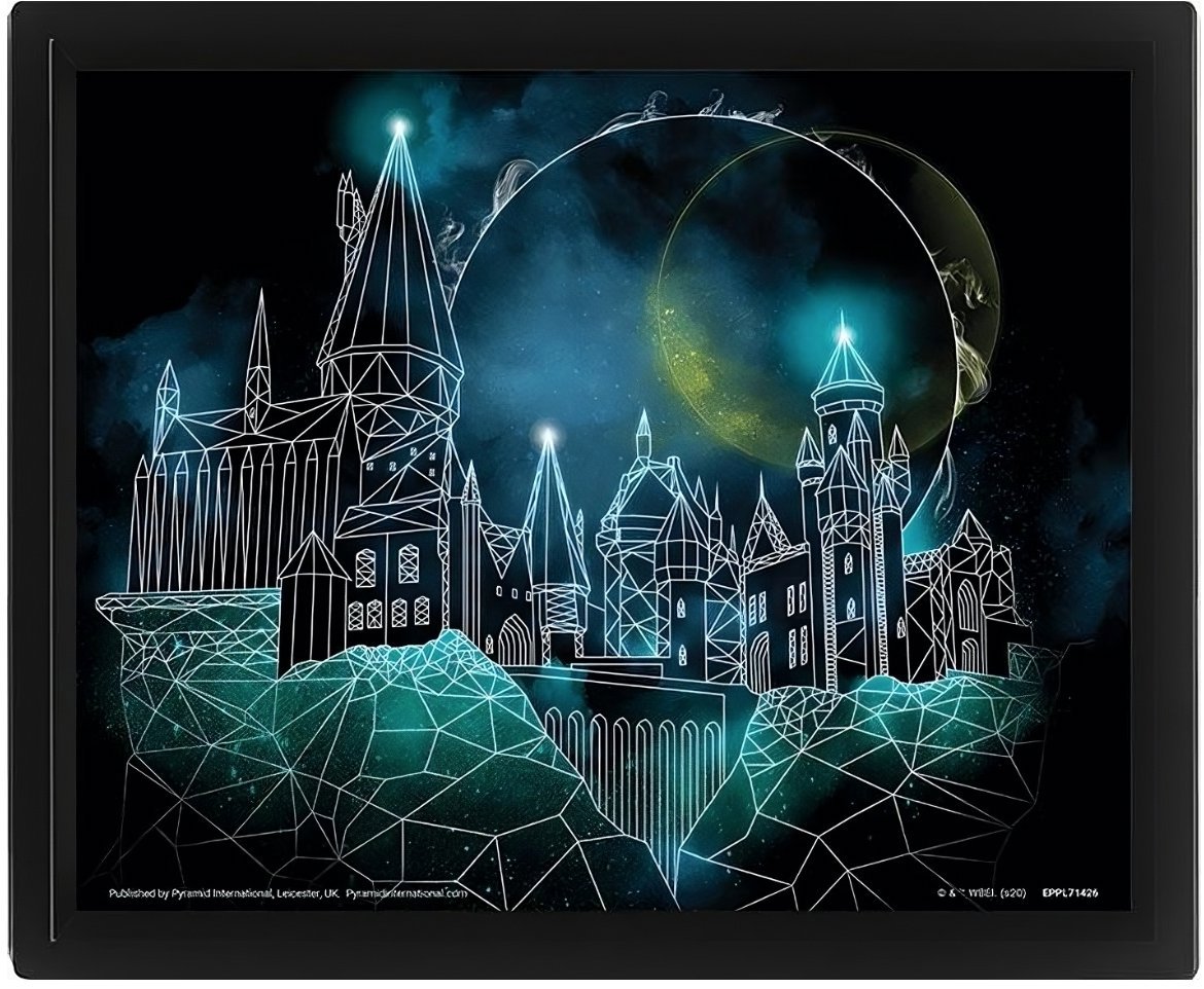 Harry Potter 3D: Bradavice - obraz