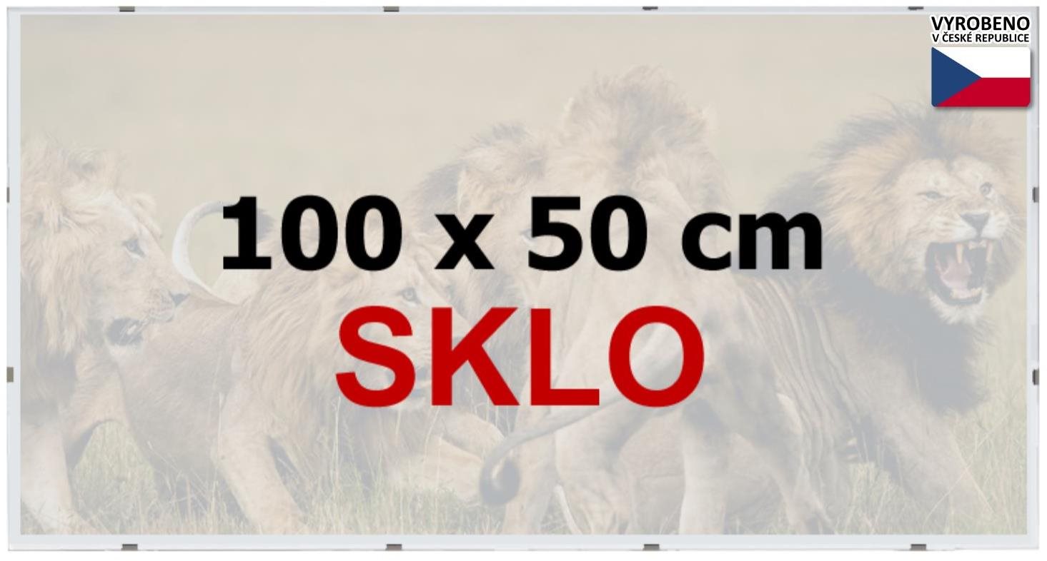 BFHM Rám na puzzle Euroclip, 100 × 50 cm, sklo