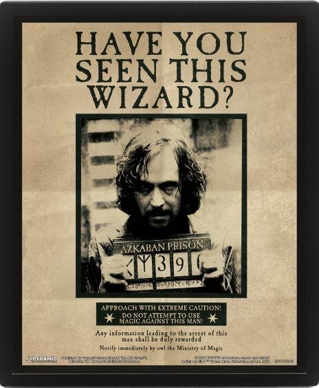 3D obraz Harry Potter - Sirius