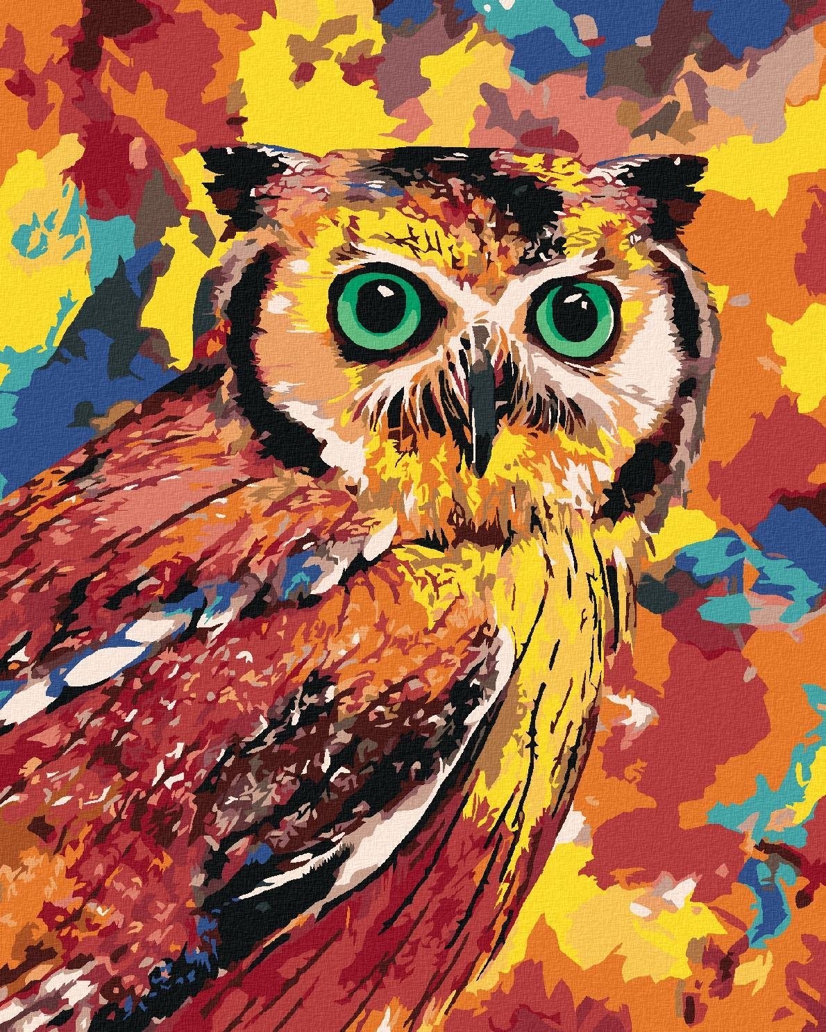 Malování podle čísel - Barevná sova, 40x50 cm, vypnuté plátno na rám