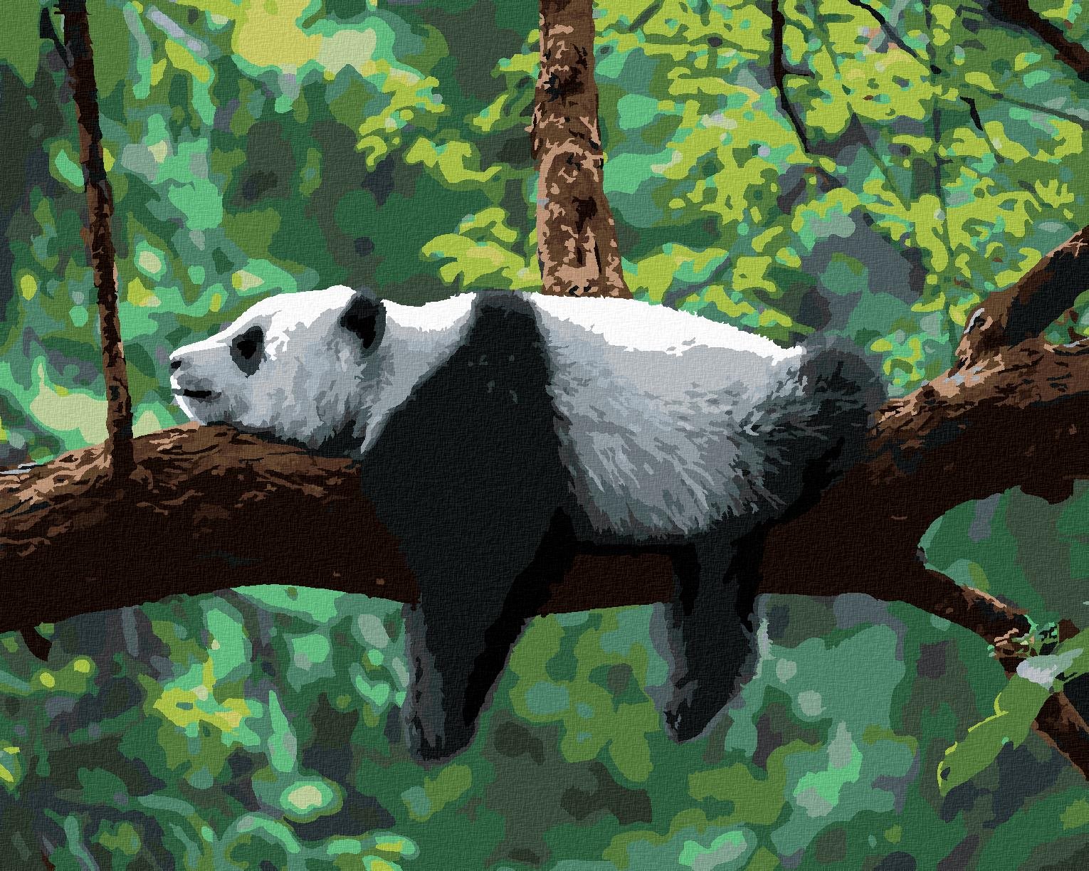 Malování podle čísel - Panda ležící na stromě, 80x100 cm, vypnuté plátno na rám