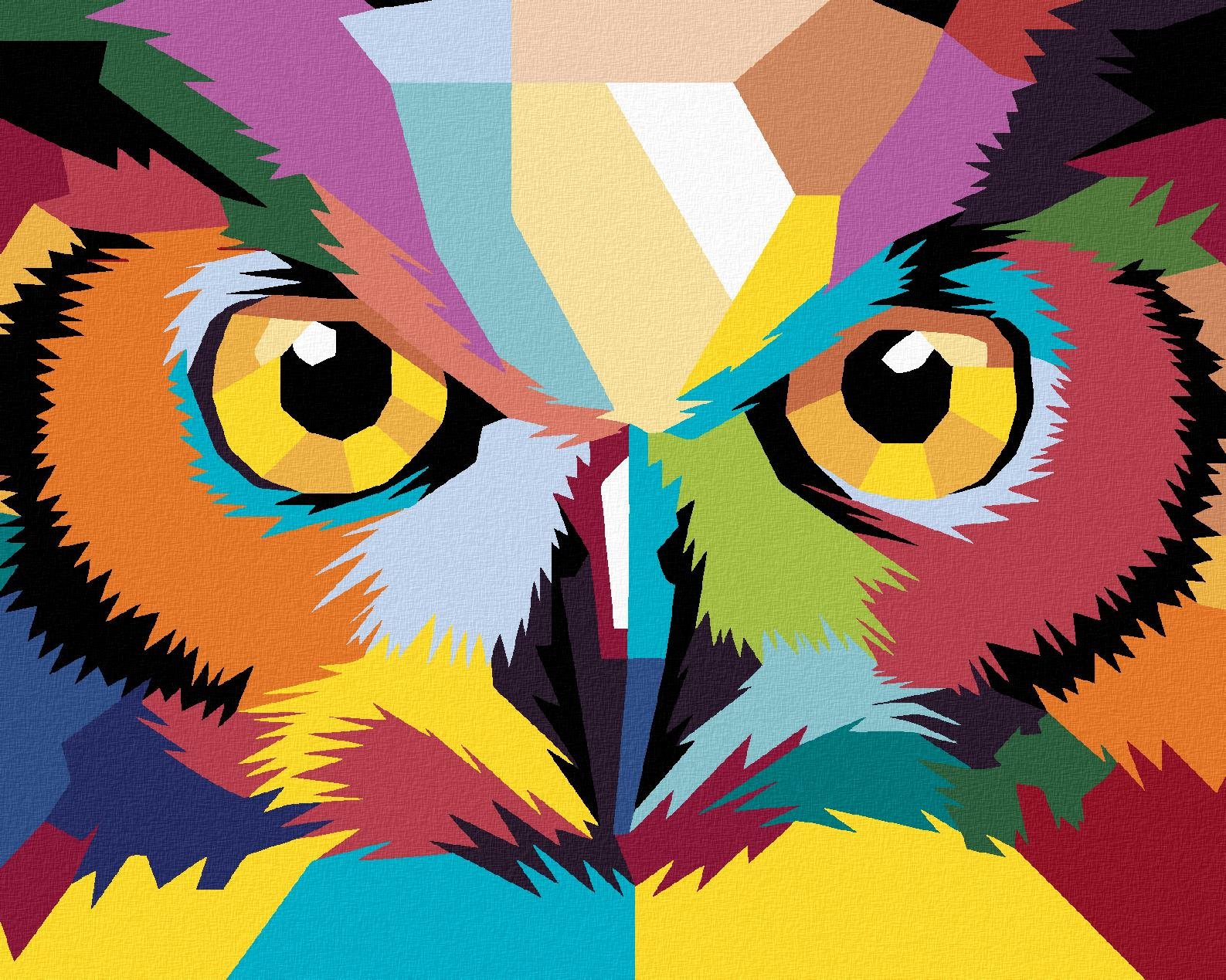 Malování podle čísel - Pop art sova, 40x50 cm, vypnuté plátno na rám