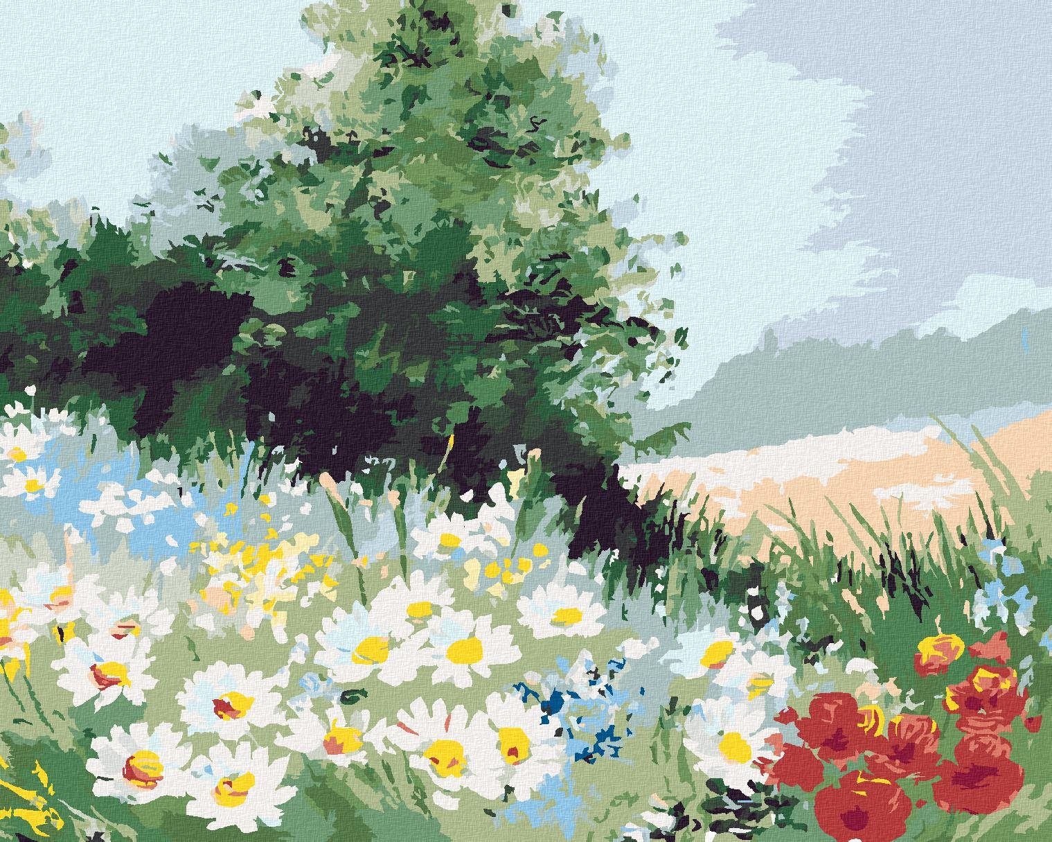 Malování podle čísel - Sedmikráskové pole, 80x100 cm, vypnuté plátno na rám