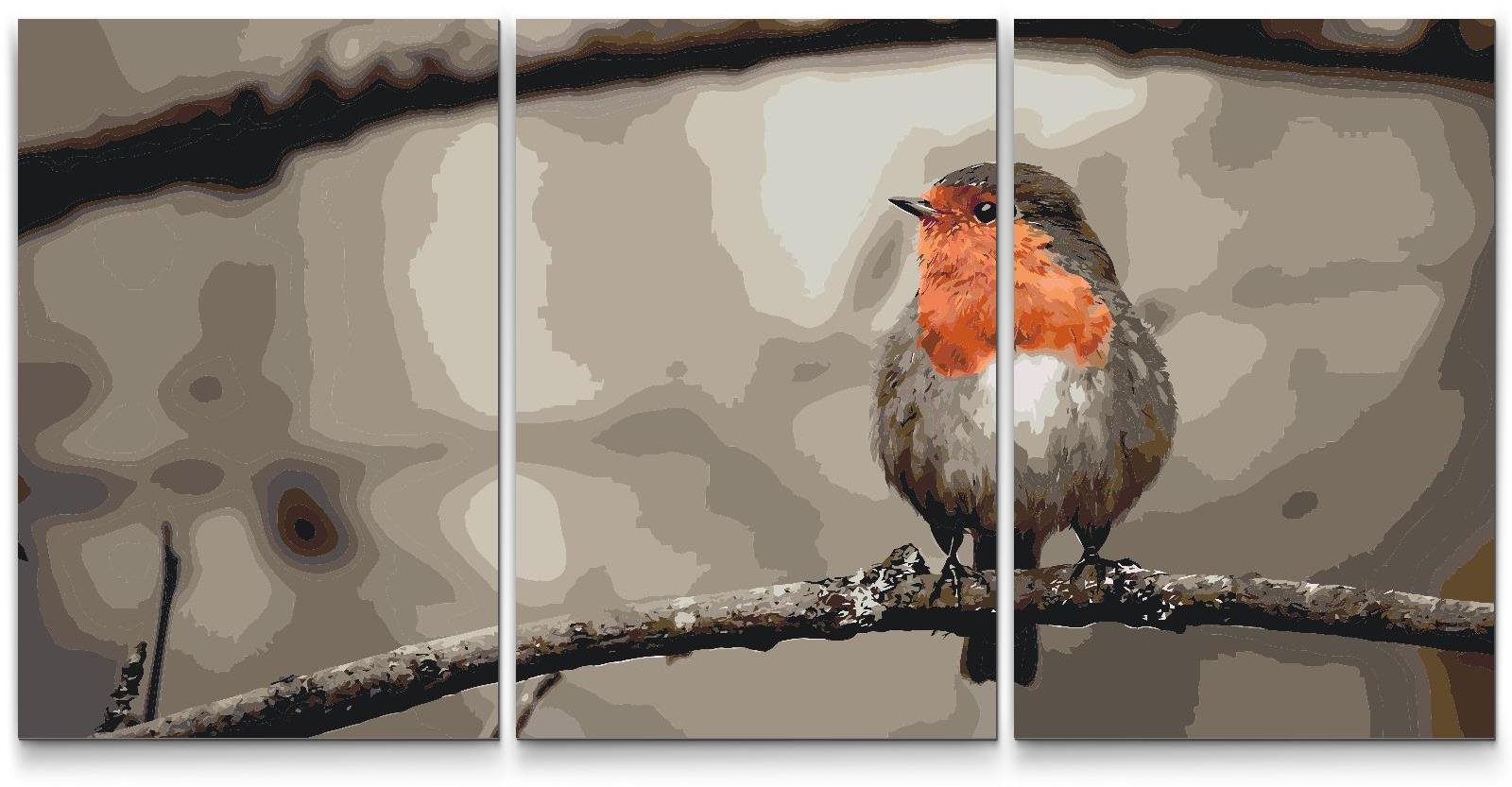 Painting Queens Malování podle čísel - Ptáček Červenka (sada 3 ks), 60 × 80 cm, na rámu