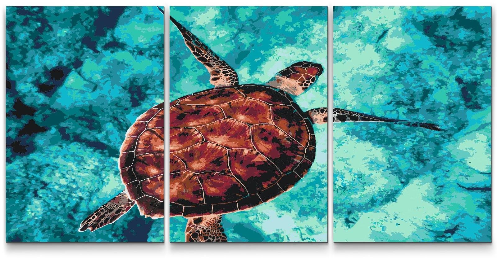 Painting Queens Malování podle čísel - Mořská želva (sada 3 ks), 60 × 80 cm, na rámu