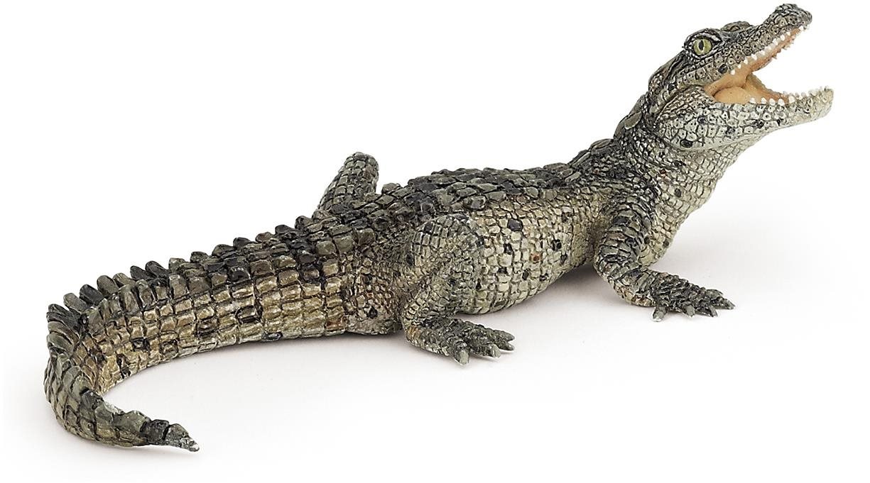 PAPO Krokodýl mládě