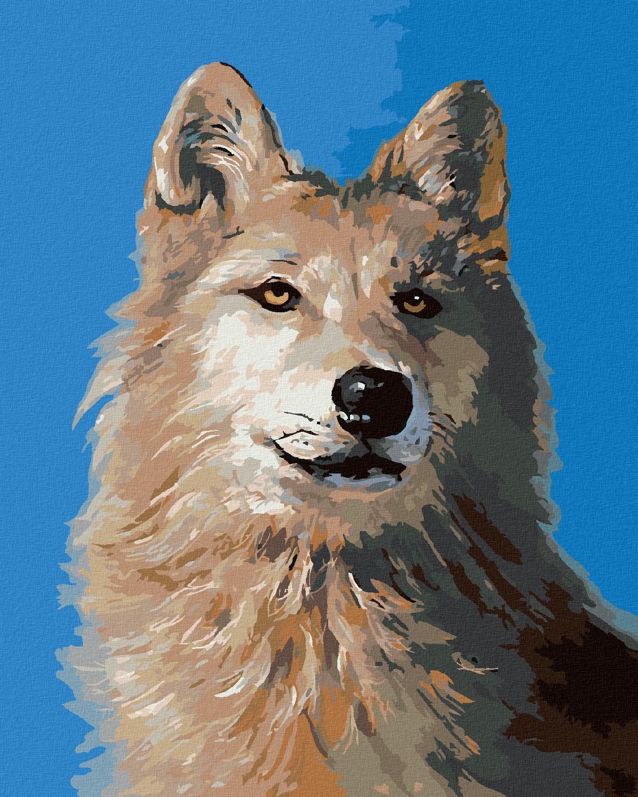 Zuty - Malování Podle Čísel - Vlk Portrét I (D. Rusty Rust), 40X50 Cm, Plátno+Rám
