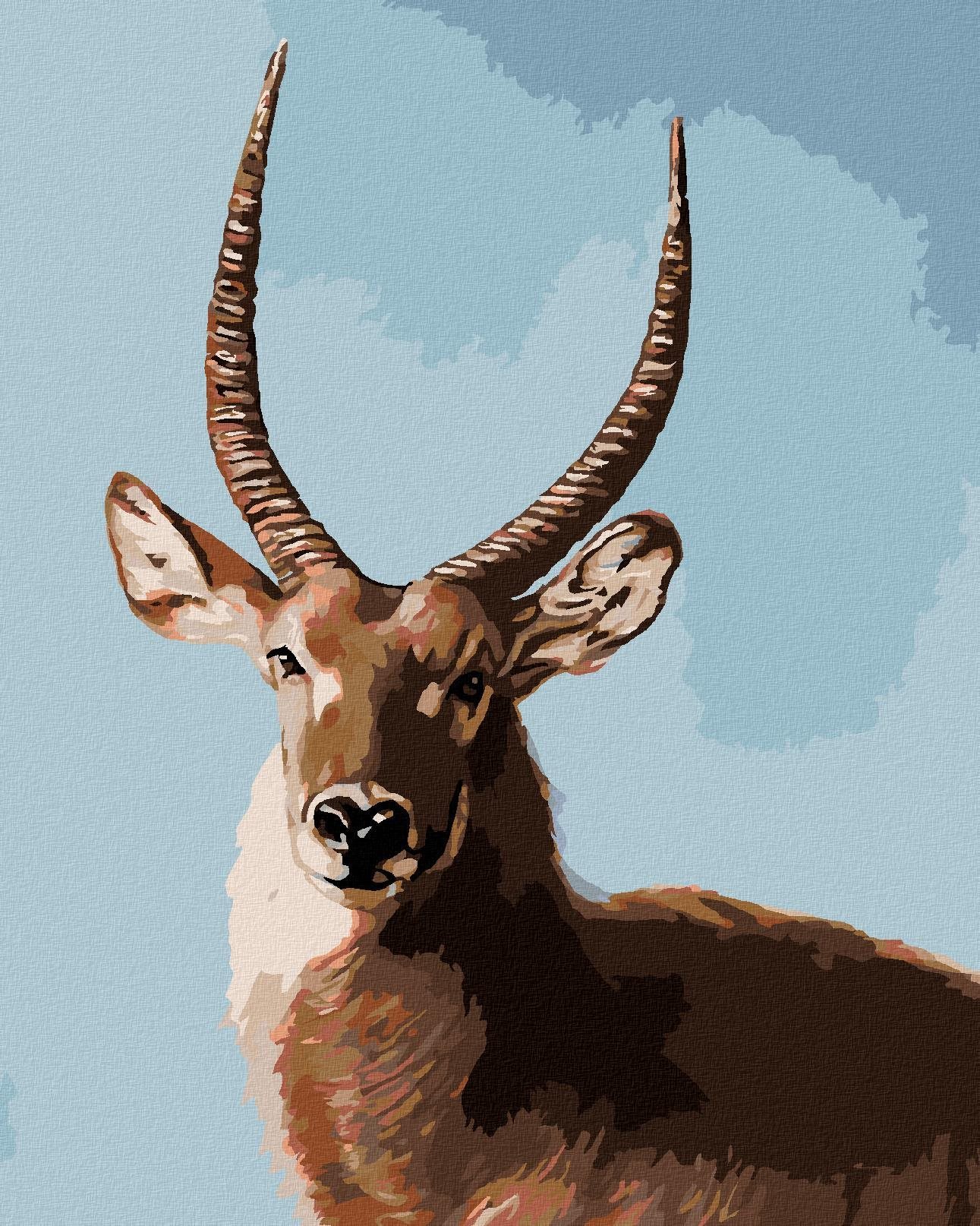 Zuty - Malování Podle Čísel - Antilopa Portrét (D. Rusty Rust), 40X50 Cm, Plátno+Rám