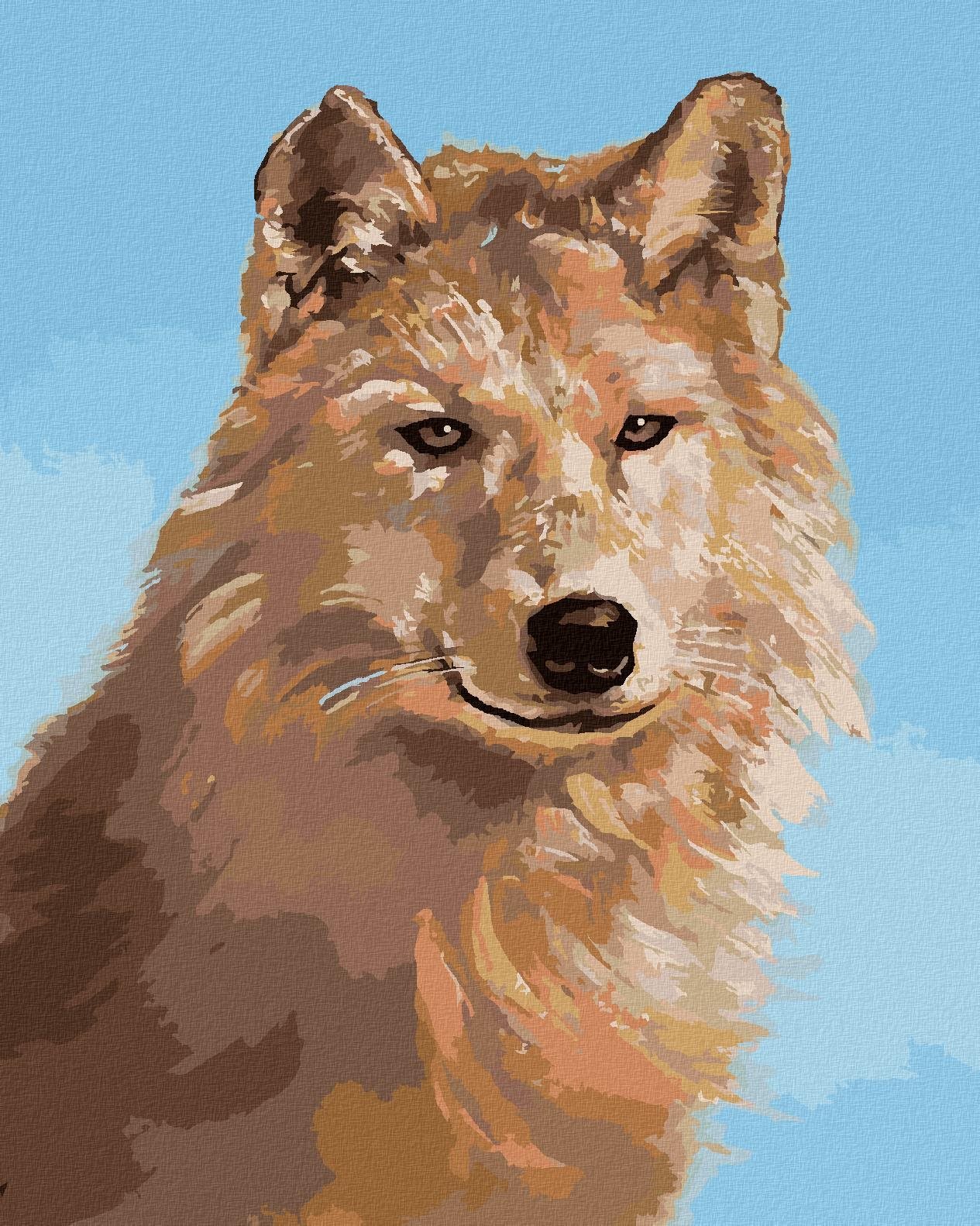 Zuty - Malování Podle Čísel - Vlk Portrét Iii (D. Rusty Rust), 40X50 Cm, Plátno+Rám