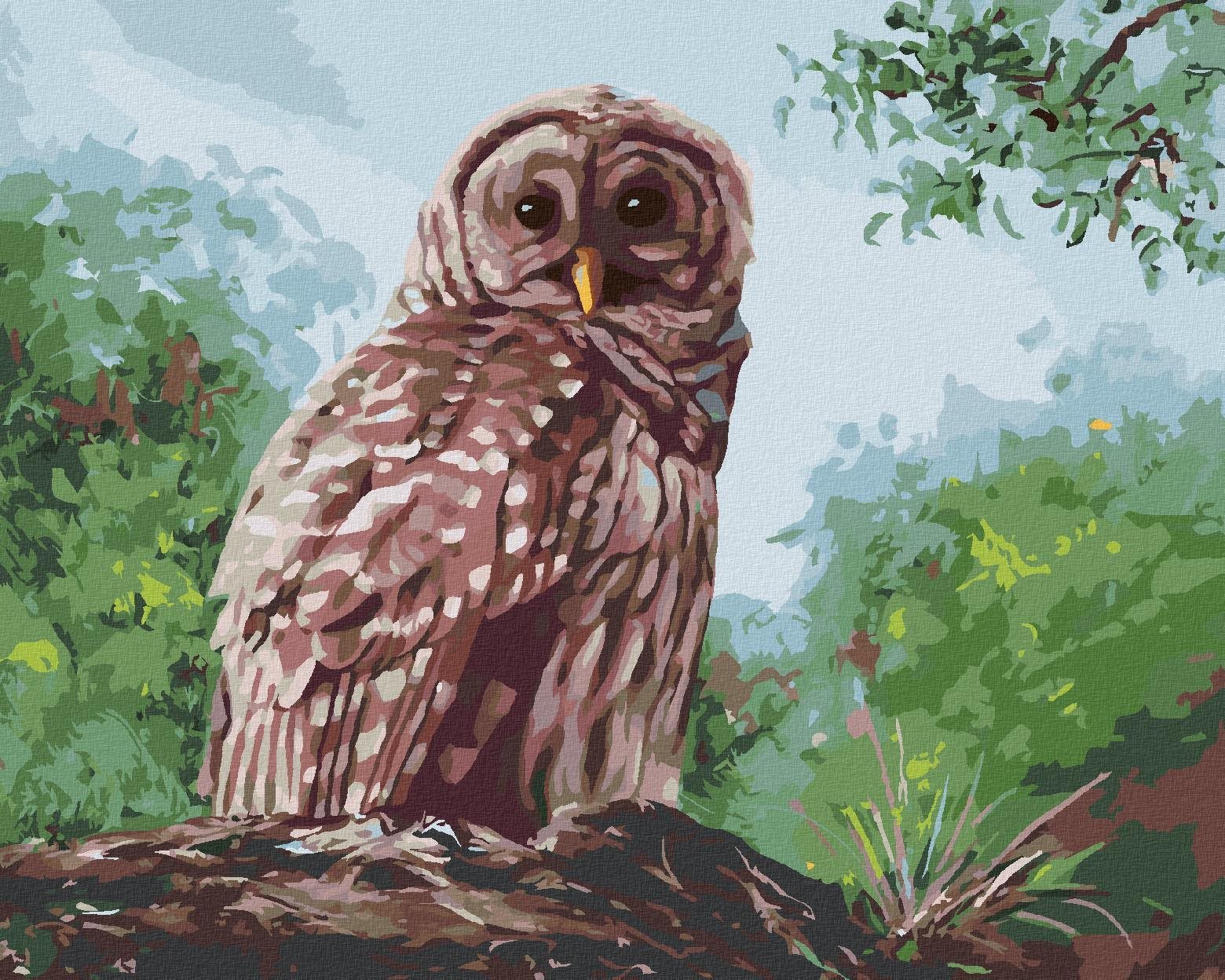 Zuty - Malování Podle Čísel - Sova A Les (D. Rusty Rust), 40X50 Cm, Plátno