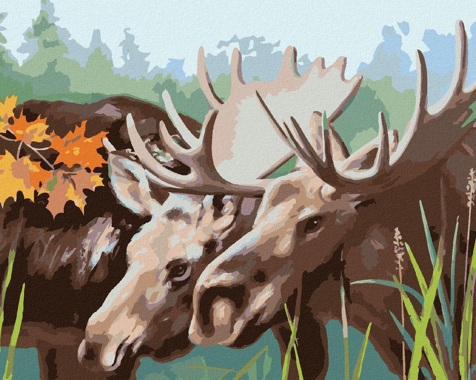 Zuty - Malování Podle Čísel - Losí Pár (D. Rusty Rust), 80X100 Cm, Plátno