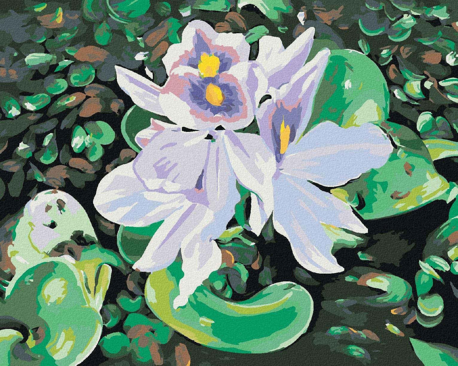 Zuty - Malování Podle Čísel - Leknín (D. Rusty Rust), 40X50 Cm, Plátno