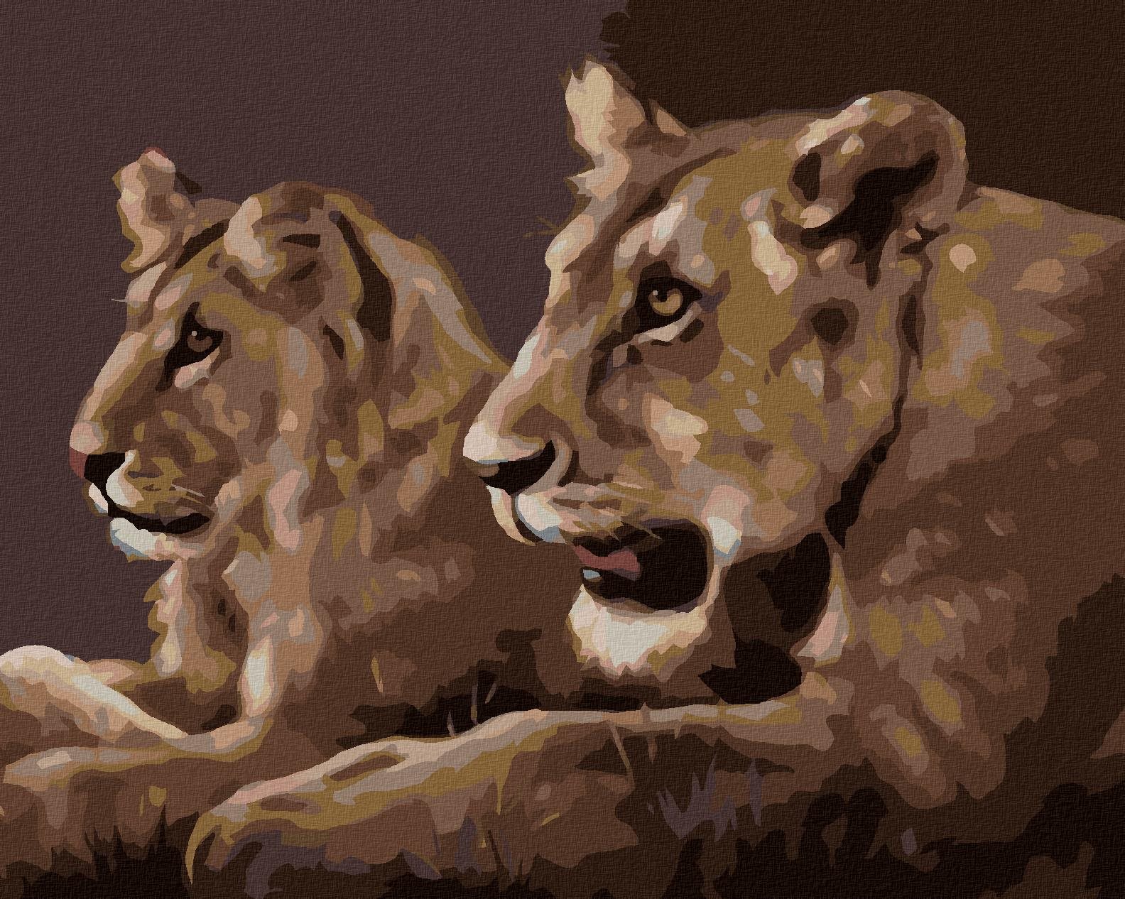 Zuty - Malování Podle Čísel - Mladí Lvi (D. Rusty Rust), 40X50 Cm, Plátno