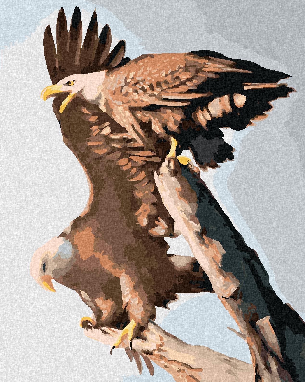Zuty - Malování Podle Čísel - Orlí Pár (D. Rusty Rust), 40X50 Cm, Plátno+Rám