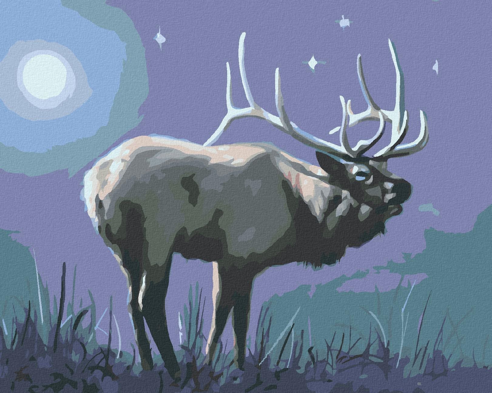 Zuty - Malování Podle Čísel - Los V Noci (D. Rusty Rust), 40X50 Cm, Plátno