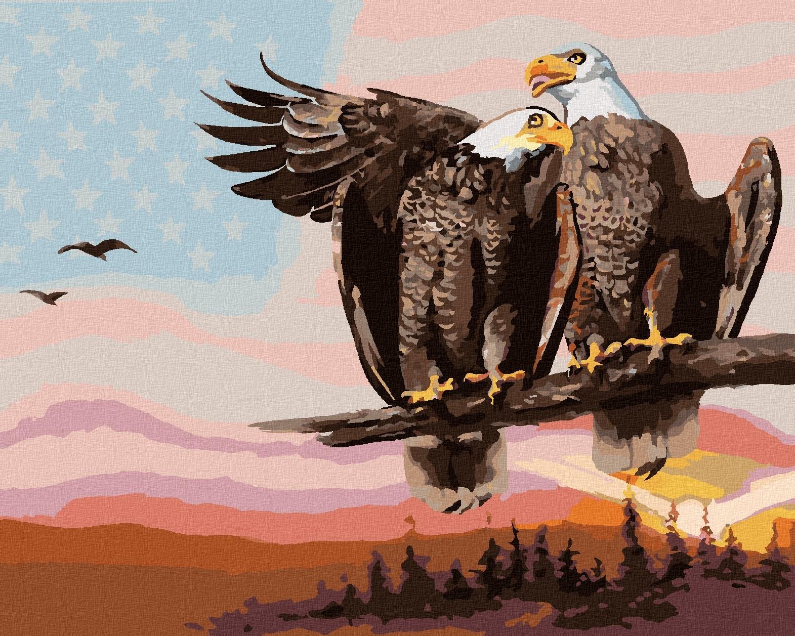 Zuty - Malování Podle Čísel - Dva Orli (D. Rusty Rust), 40X50 Cm, Plátno